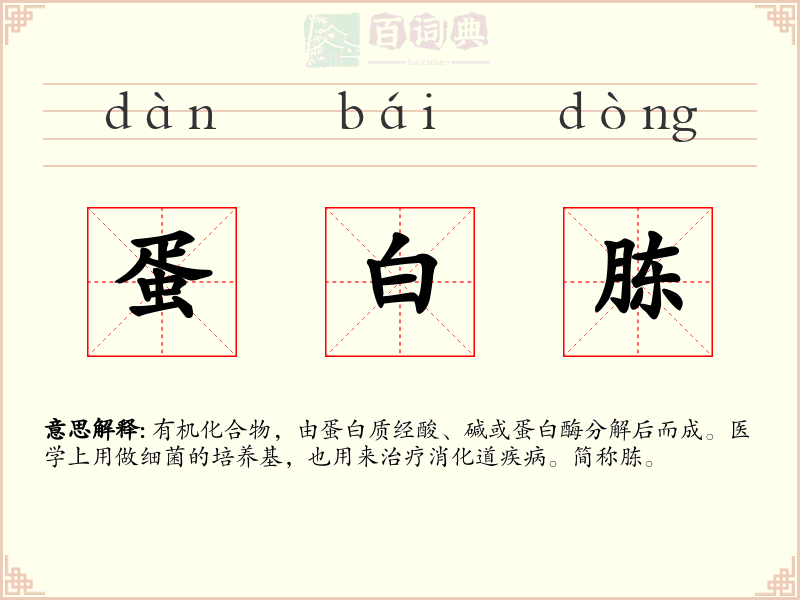 蛋白胨
