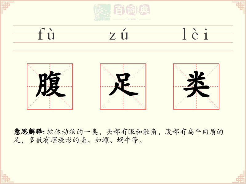 腹足类