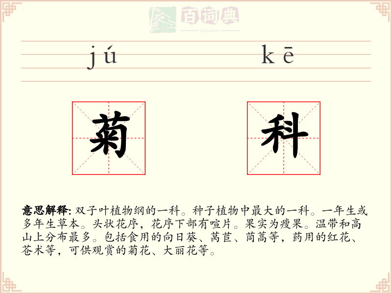 菊科