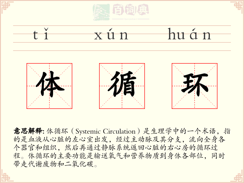 体循环