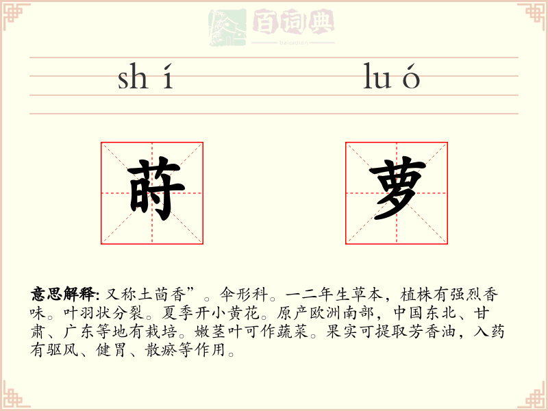 莳萝