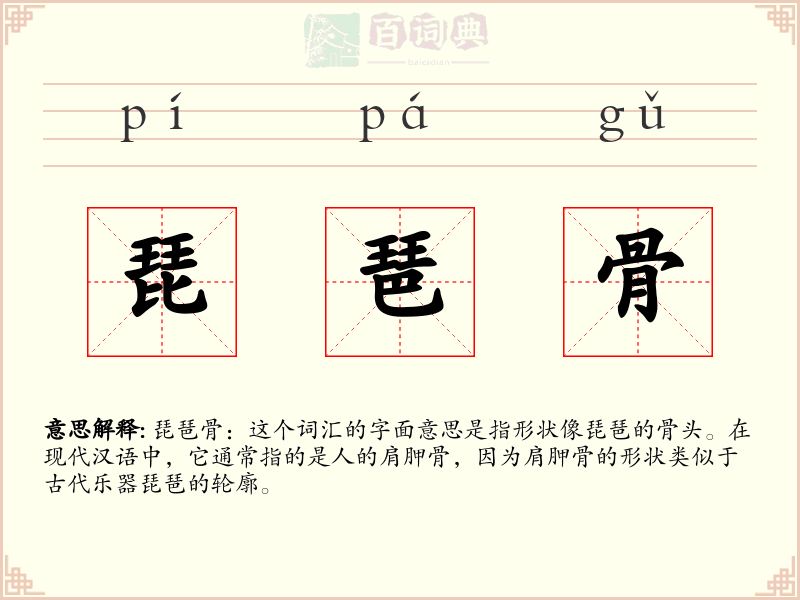 琵琶骨