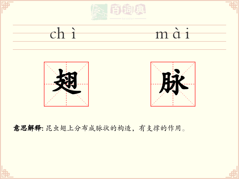 翅脉