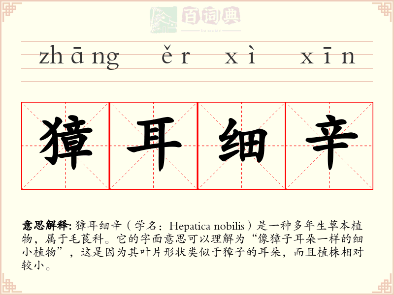 獐耳细辛