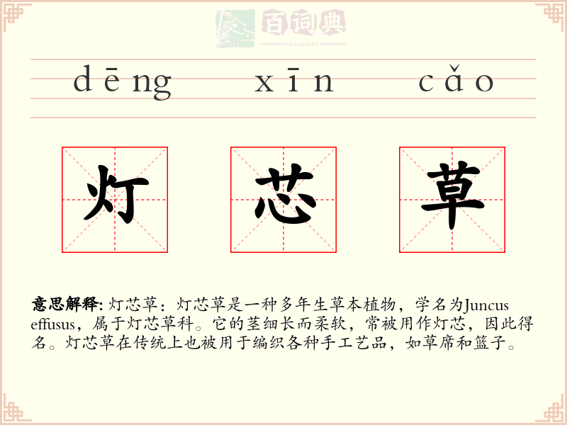 灯芯草