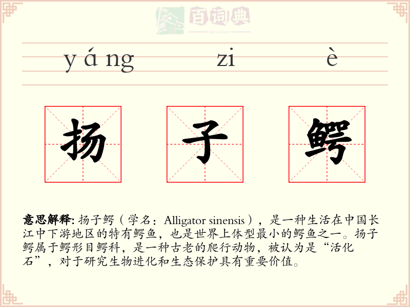扬子鳄