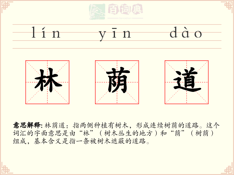 林荫道