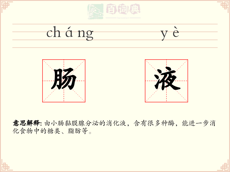 肠液