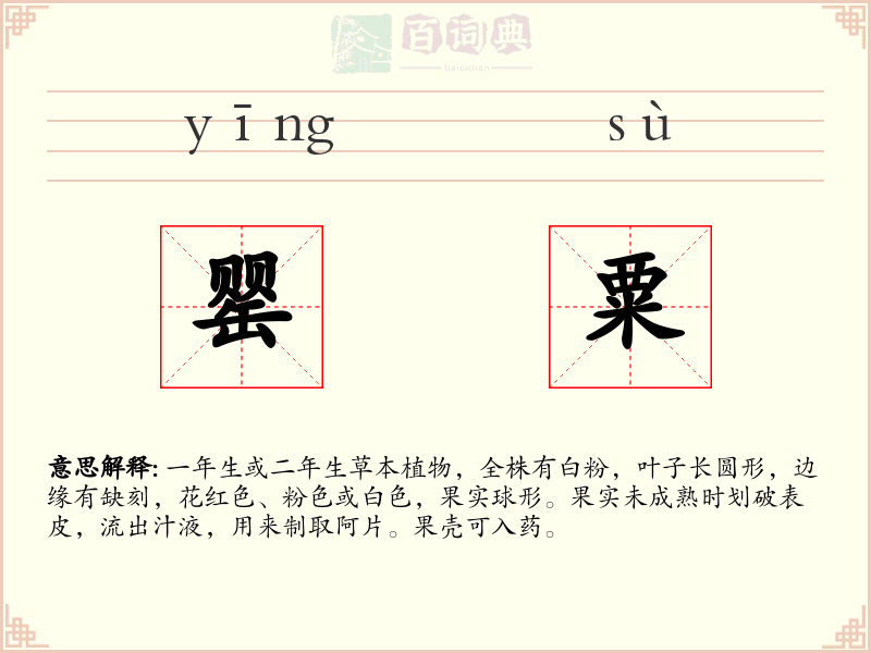 罂粟
