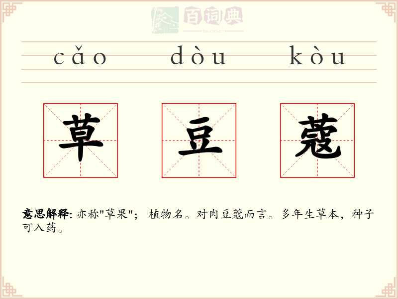 草豆蔻