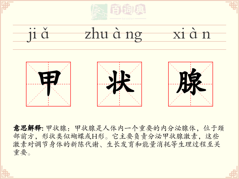 甲状腺