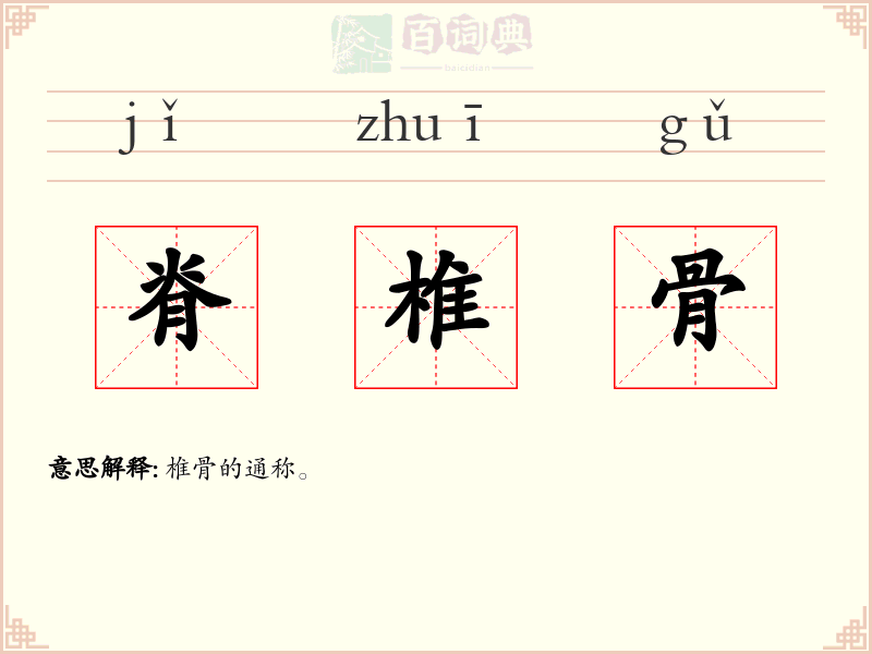 脊椎骨