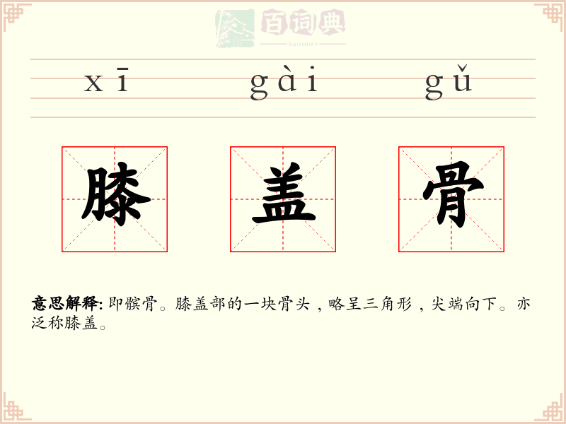 膝盖骨