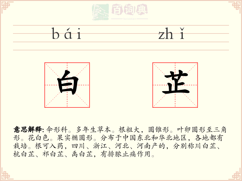 白芷