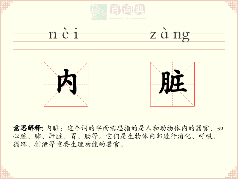 内脏