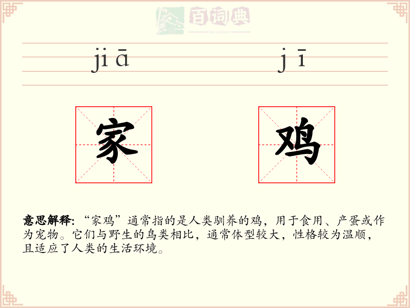 家鸡