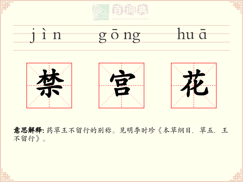 禁宫花