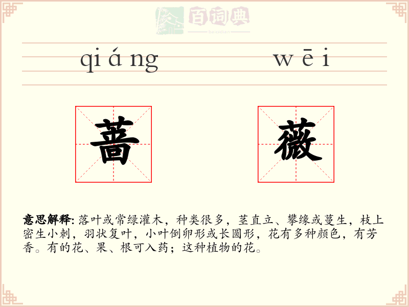 蔷薇