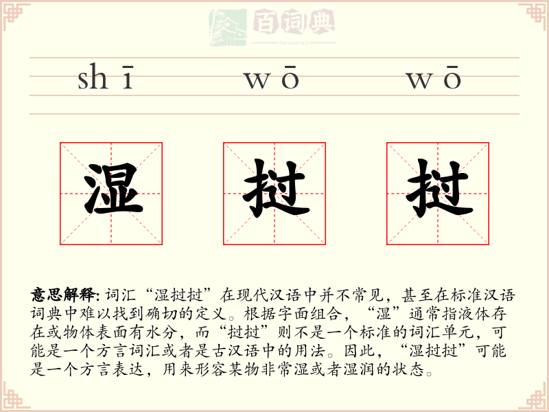 湿挝挝