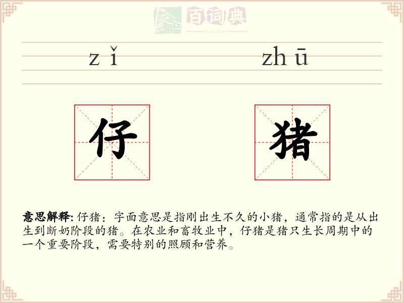 仔猪