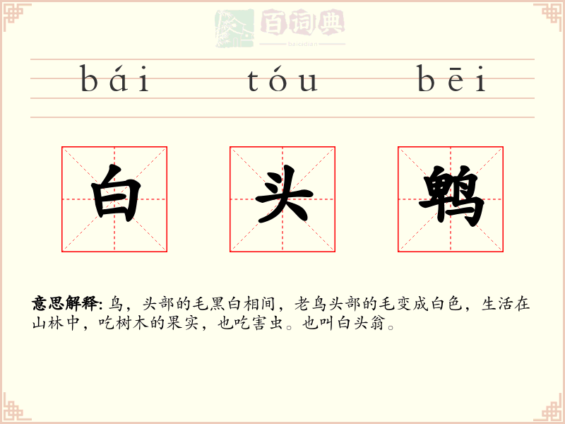 白头鹎