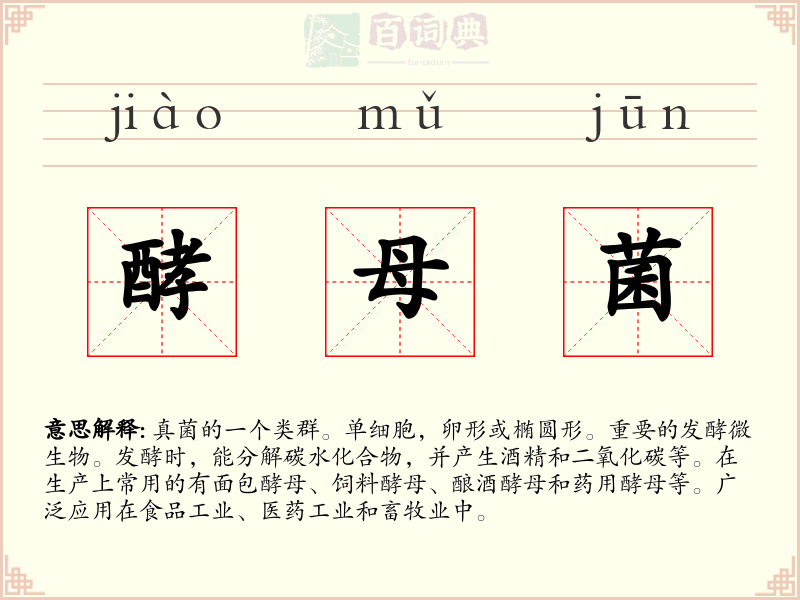 酵母菌