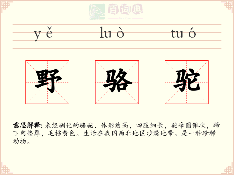 野骆驼