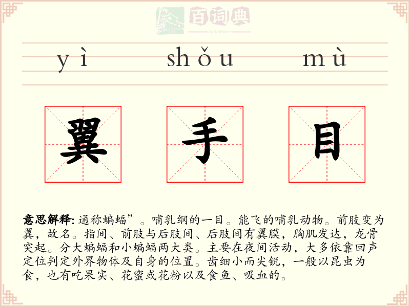 翼手目