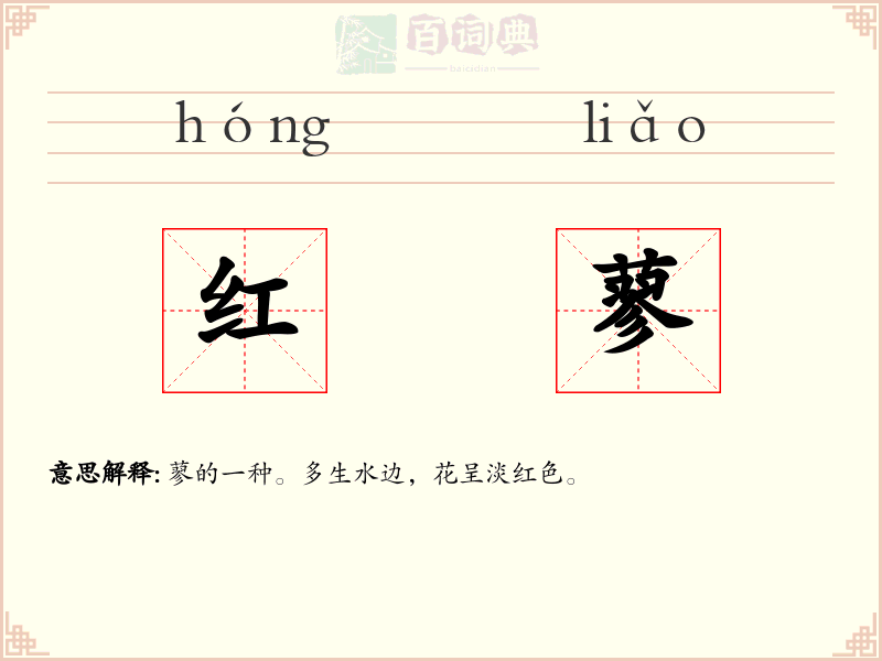 红蓼