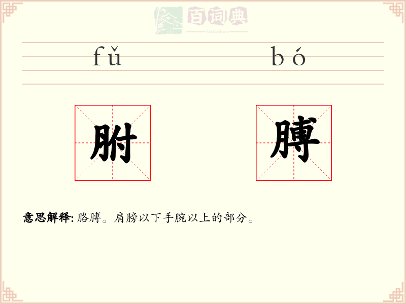 胕膊