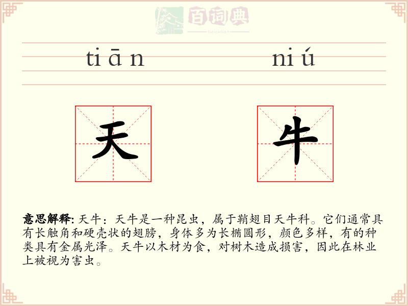 天牛