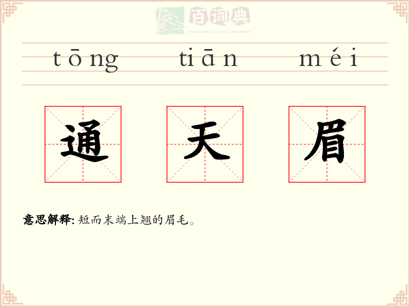 通天眉