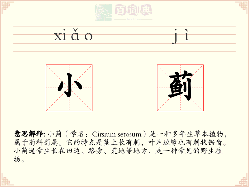 小蓟