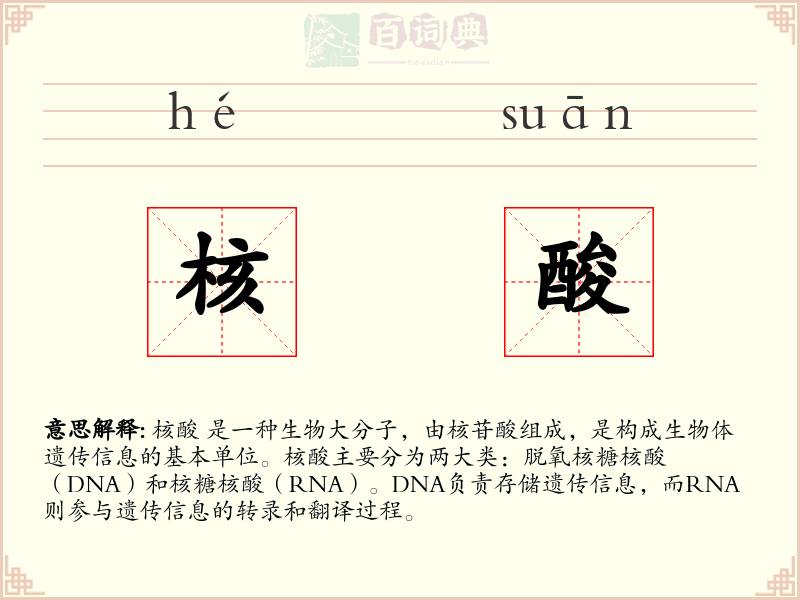 核酸