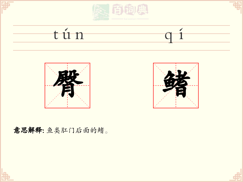 臀鳍