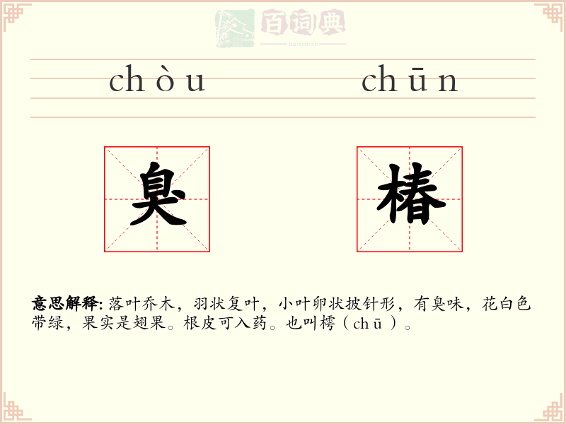 臭椿