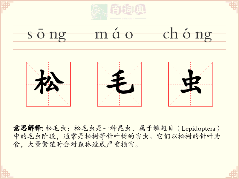 松毛虫