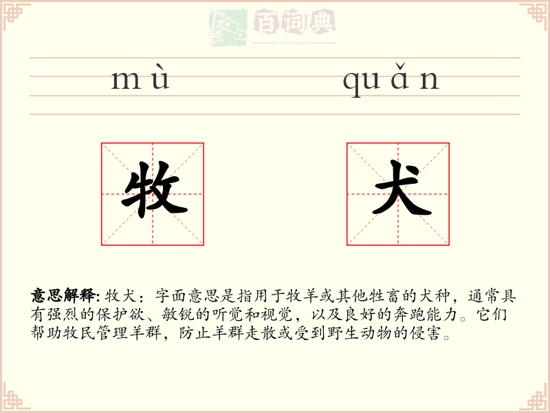 牧犬