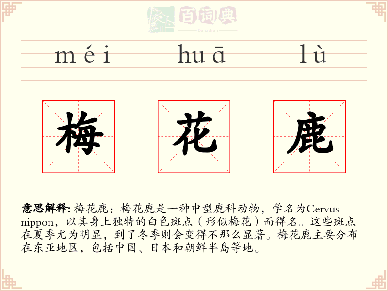 梅花鹿