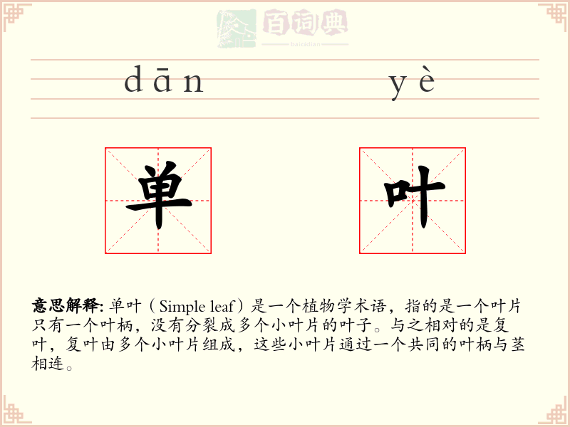 单叶