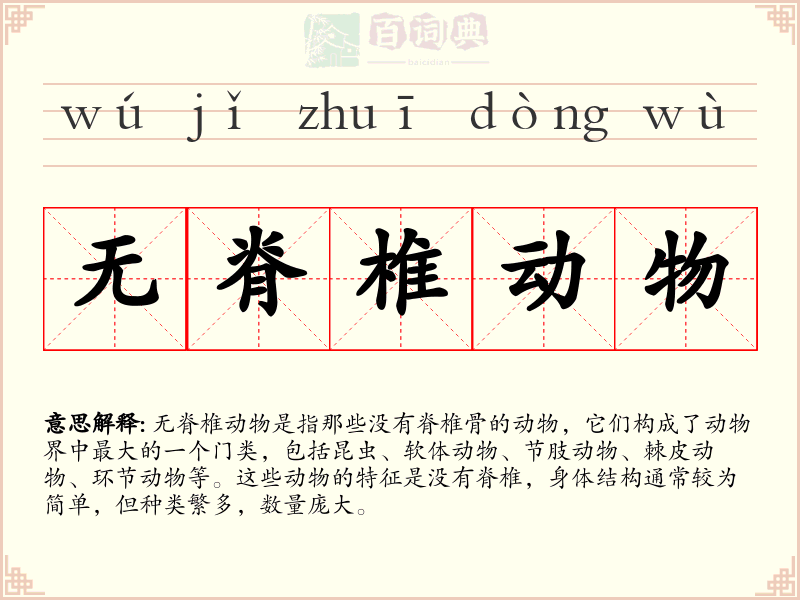 无脊椎动物