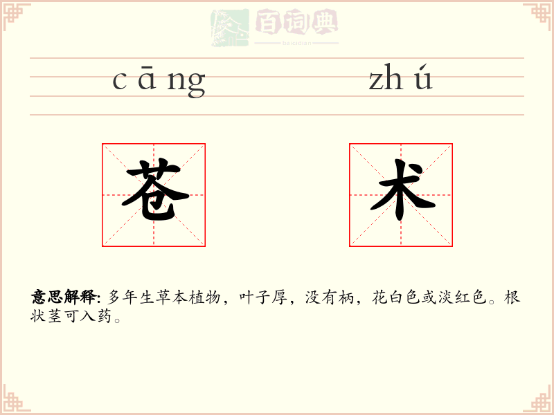 苍术
