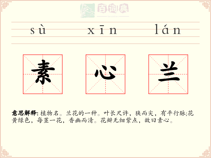 素心兰