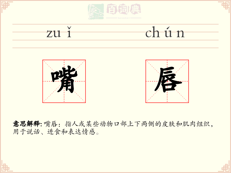 嘴唇