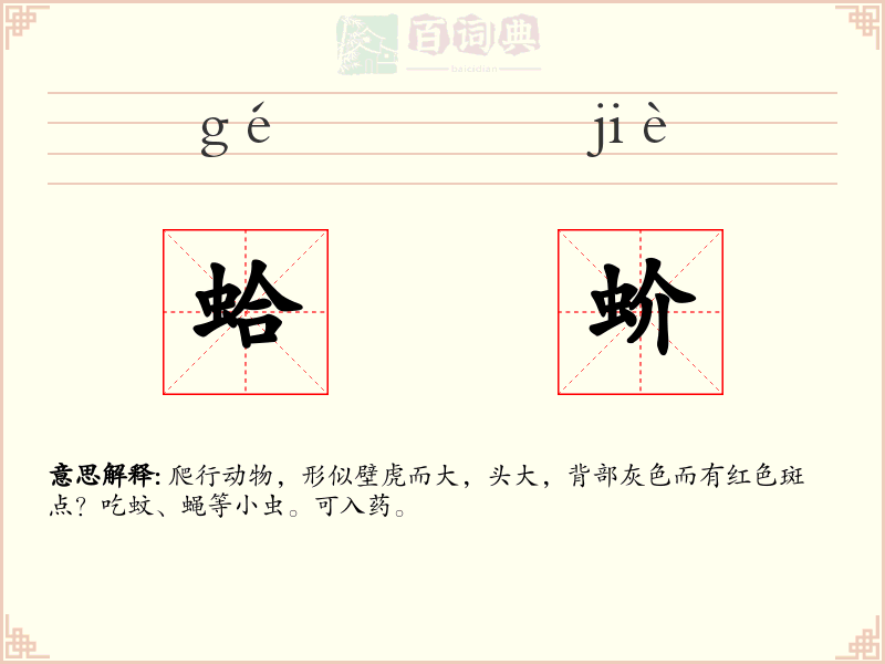 蛤蚧