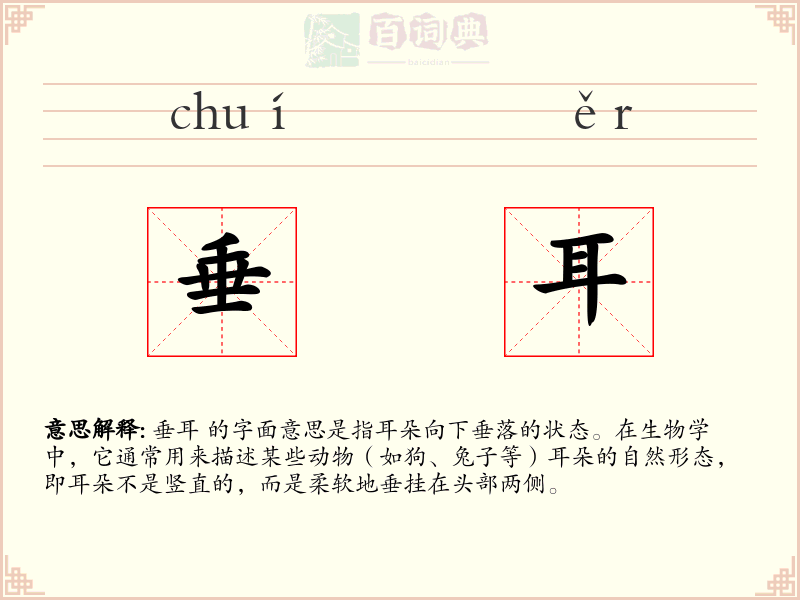 垂耳