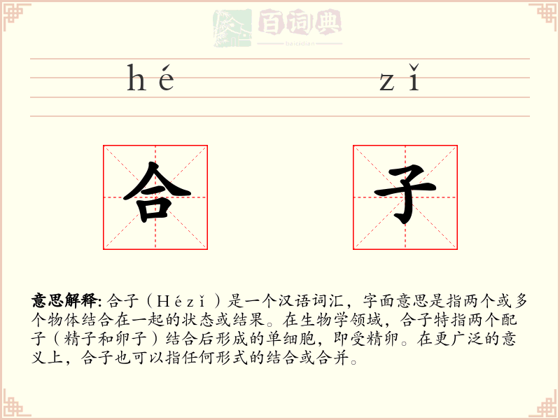 合子
