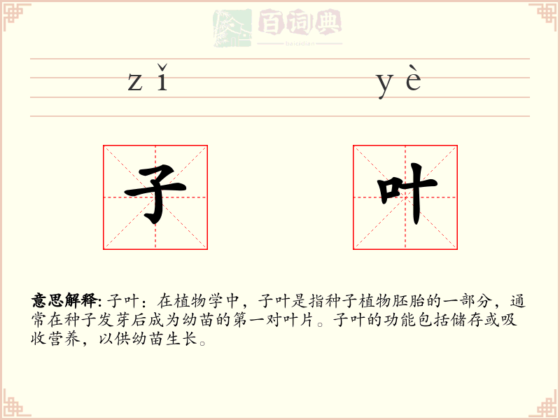 子叶