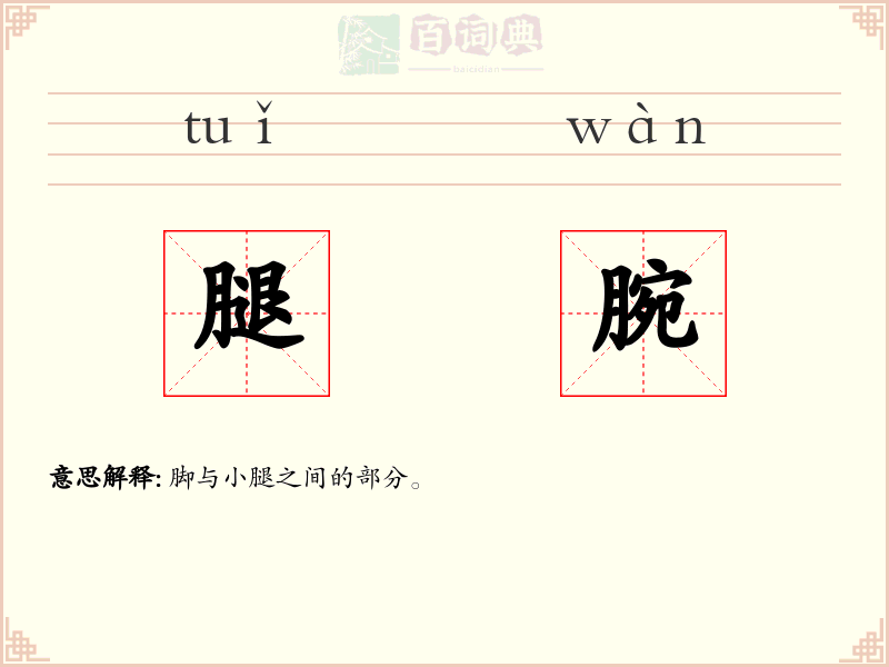 腿腕