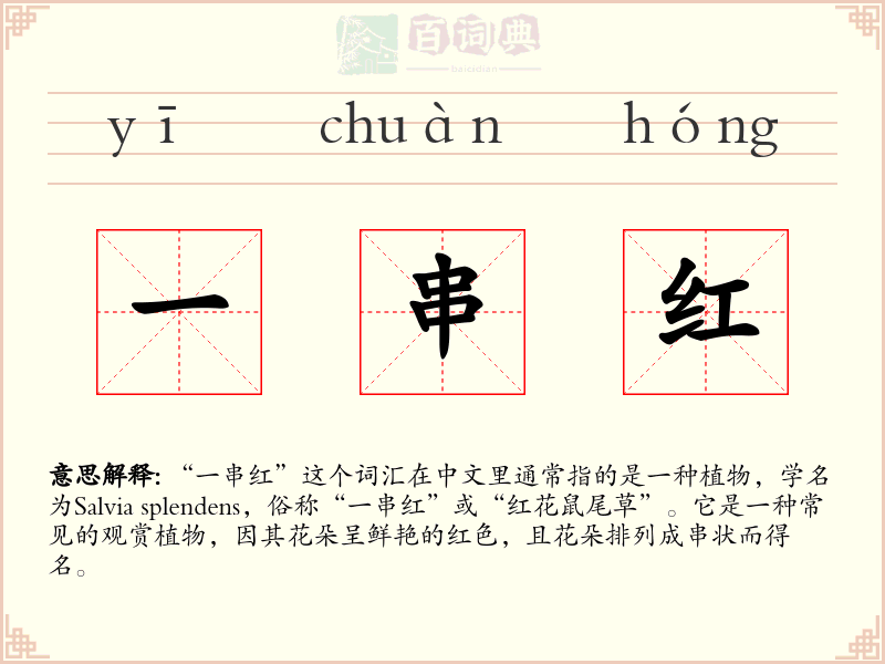 一串红